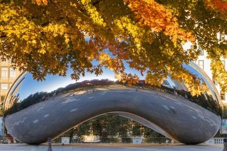 Autumn Over The Bean