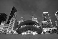 Cloud Gate and Skyline