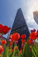 John Hancock Center with Tulips in Spring