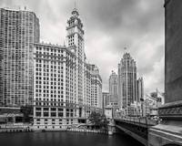 Wrigley Building Chicago Black and White