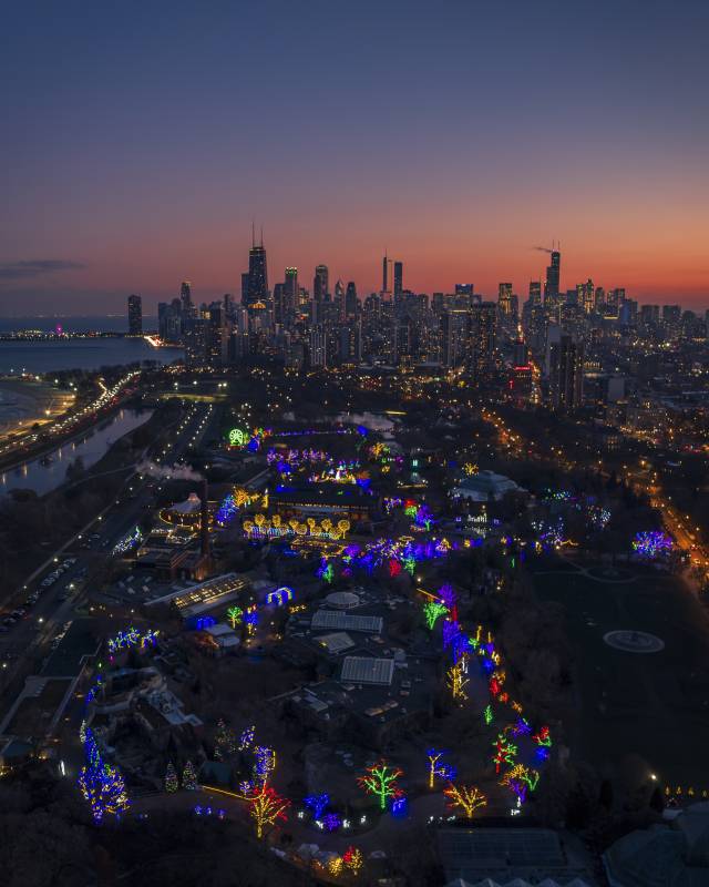 Twilight Whispers: Zoolights and Skyline Dreams