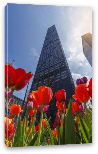 John Hancock Center with Tulips in Spring Fine Art Canvas Print