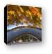 Autumn Over The Bean Canvas Prints