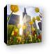 Chicago Tulips & Willis Tower Morning Canvas Prints