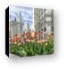 Michigan Ave Tulips Canvas Prints