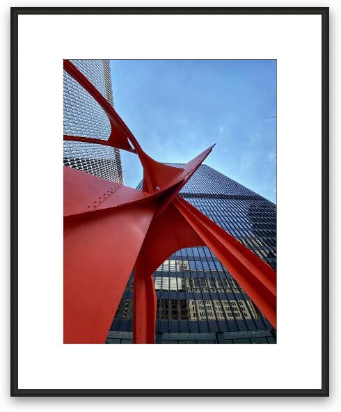 Flamingo - Worm's Eye View Framed Fine Art Print