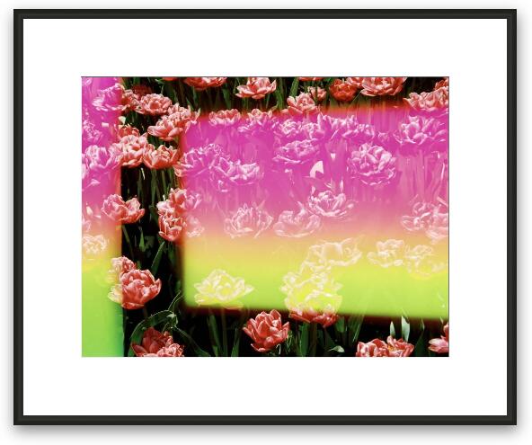 Serendipity Framed Fine Art Print