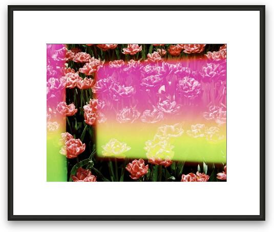 Serendipity Framed Fine Art Print