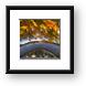 Buy Framed Print