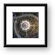 Baha'i House of Worship grounds Framed Prints