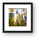 Chicago Tulips & Willis Tower Morning Framed Prints