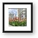 Michigan Ave Tulips Framed Prints