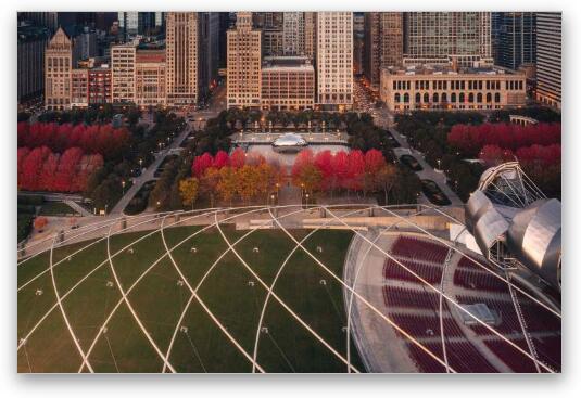 Fall in Millennium Park Fine Art Metal Print