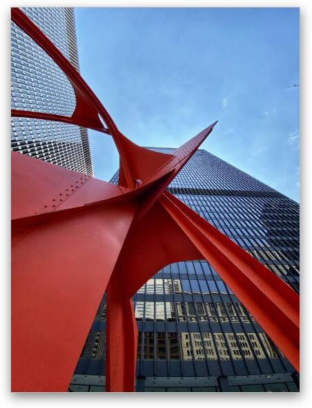 Flamingo - Worm's Eye View Fine Art Metal Print