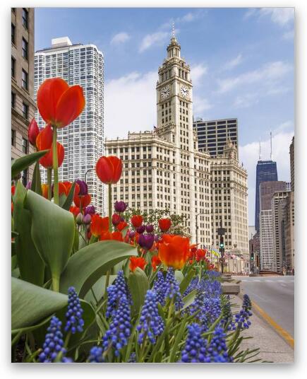 Spring Flowers Along Michigan Ave Chicago Fine Art Metal Print