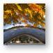 Autumn Over The Bean Metal Prints