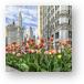 Michigan Ave Tulips Metal Prints