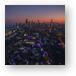 Twilight Whispers: Zoolights and Skyline Dreams Metal Prints