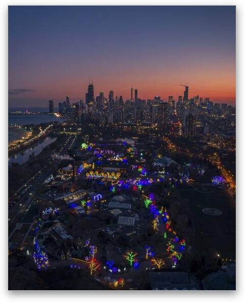 Twilight Whispers: Zoolights and Skyline Dreams Fine Art Metal Print