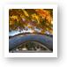 Autumn Over The Bean Art Prints