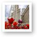 Spring Tulips at Wrigley Building Art Prints