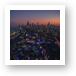 Twilight Whispers: Zoolights and Skyline Dreams Art Prints